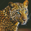 Wild Blue Eyes Jaguar Diamond Painting