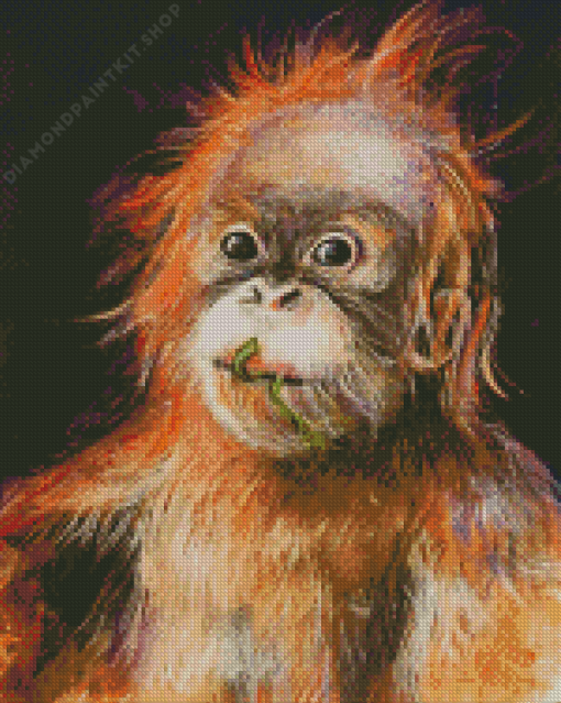 Baby Orangutan Diamond Painting