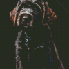 Black Labradoodle Puppy Diamond Painting