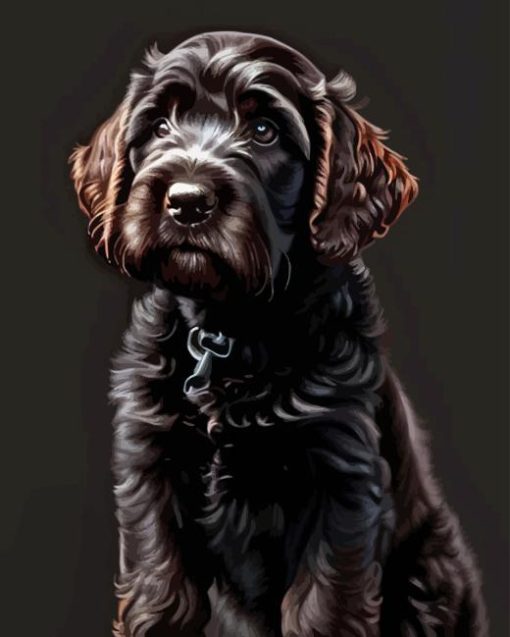 Black Labradoodle Puppy Diamond Painting