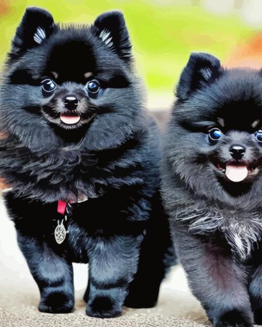 Black Pomeranian Dogs Diamond Painting