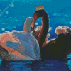 Black Swan and White Swan Diamond Painting