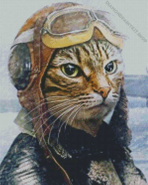 Cat in Pilots Hat Diamond Painting