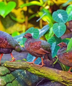 Crested Partridge Family Diamond Painting