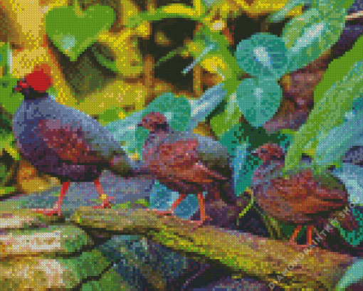 Crested Partridge Family Diamond Painting
