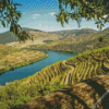 Douro Valley Portugal Diamond Painting