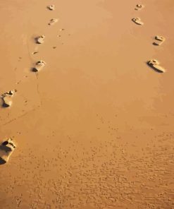 Footprints In Sand Diamond Painting