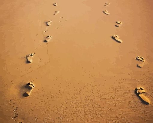 Footprints In Sand Diamond Painting