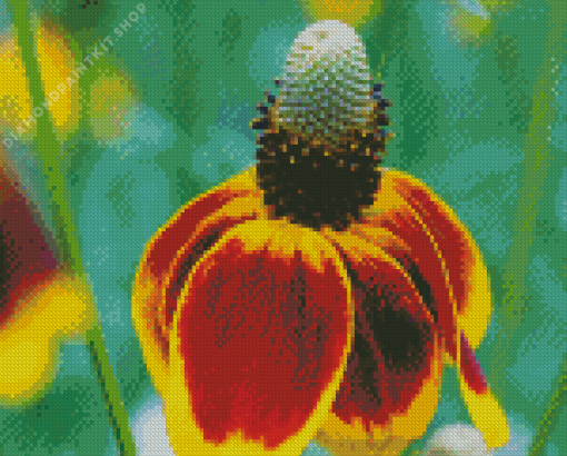 Mexican Hat Flower Diamond Painting