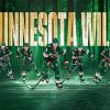 Minnesota Wild Team Diamond Painting