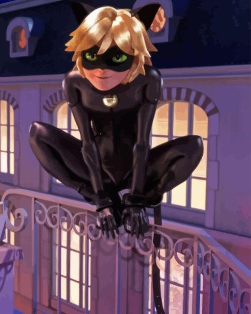 Miraculous Cat Noir Adrien Agreste Diamond Painting