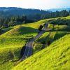 Mt Tamalpais Diamond Painting