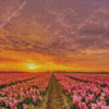 Pink Field Diamond Painting