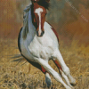 Pinto Horse Diamond Painting