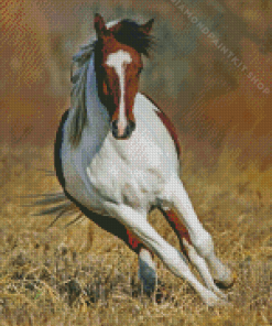 Pinto Horse Diamond Painting