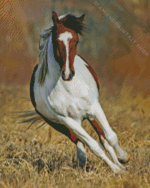 Pinto Horse Diamond Painting