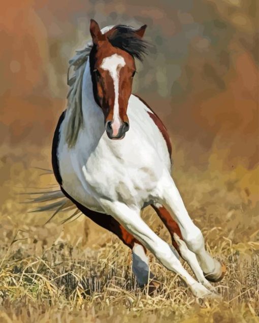 Pinto Horse Diamond Painting