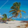 Playa Paraiso Tulum Mexico Diamond Painting