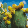 Prickly Pears Diamond Painting