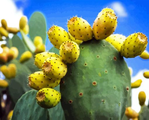 Prickly Pears Diamond Painting