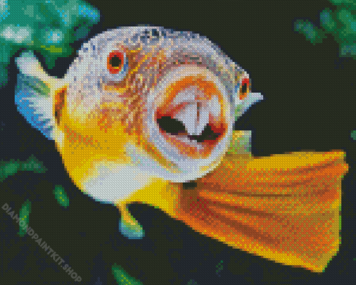 Puffer Fish Diamond Painting