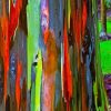 Rainbow Eucalyptus Diamond Painting