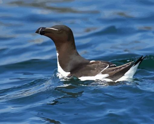 Razorbill Bird Diamond Painting