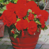 Red Begonias Plant Pot Diamond Painting