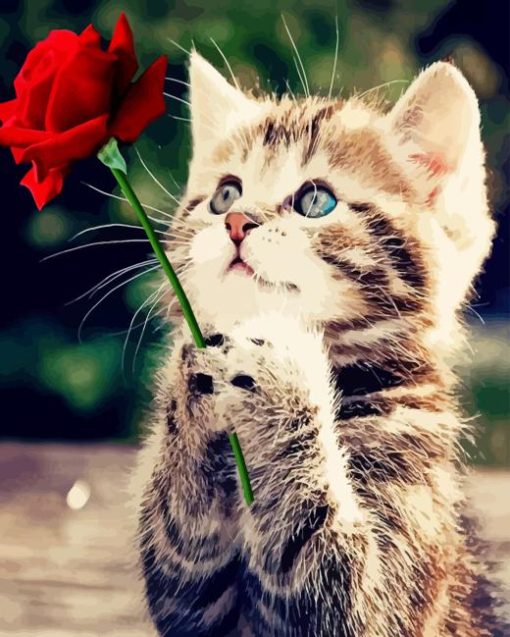 Red Rose And Cat Diamond Painting