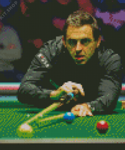 Ronnie Osullivan Diamond Painting