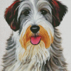 Sealyham Terrier Dog Diamond Painting