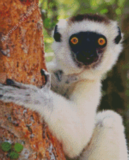 Sifaka Diamond Painting