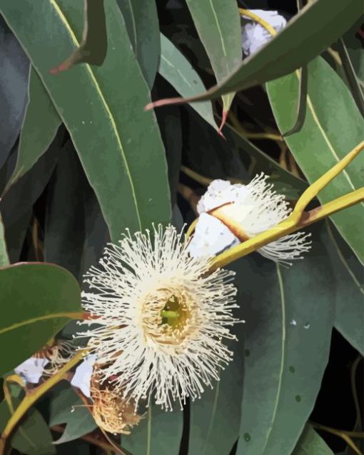 Tasmanian Blue Gum Diamond Painting