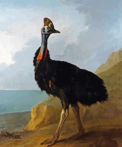 The Cassowary Bird Diamond Painting