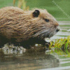 The Nutria Diamond Painting