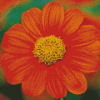 Tithonia Rotundifolia Diamond Painting