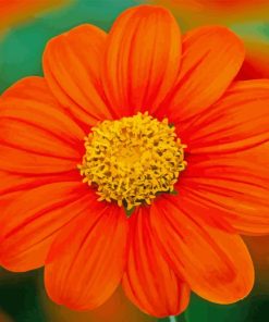 Tithonia Rotundifolia Diamond Painting