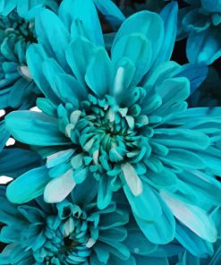 Turquoise Flower Diamond Painting