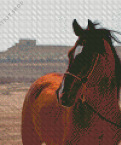 Arabian Horse Diamond Painting