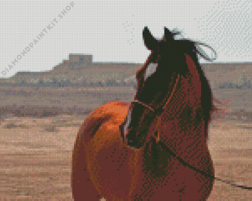 Arabian Horse Diamond Painting