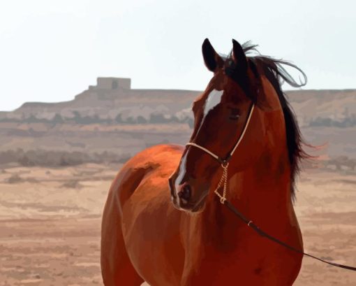 Arabian Horse Diamond Painting