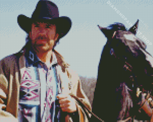 Chuck Norris Actor Diamond Painting