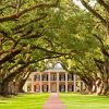 Oak Alley Plantation Diamond Painting