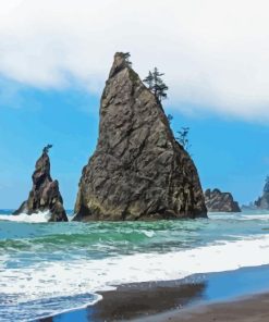 Olympic National Park Diamond Painting