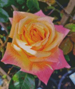 Rosa Peace Diamond Painting