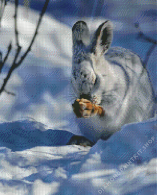 Snowshoe Hare Diamond Painting