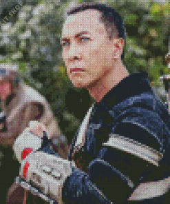 The Actor Donnie Yen Diamond Painting