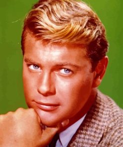 Vintage Troy Donahue Diamond Painting