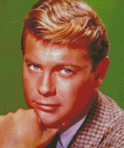 Vintage Troy Donahue Diamond Painting