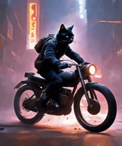 Black Cat On Motorcycle Diamond Painting